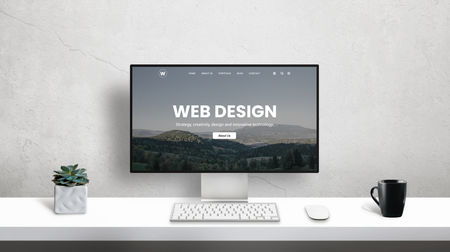 Concepteur  designer  UI